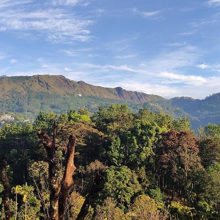 Green Tea View Munnar Exterior photo