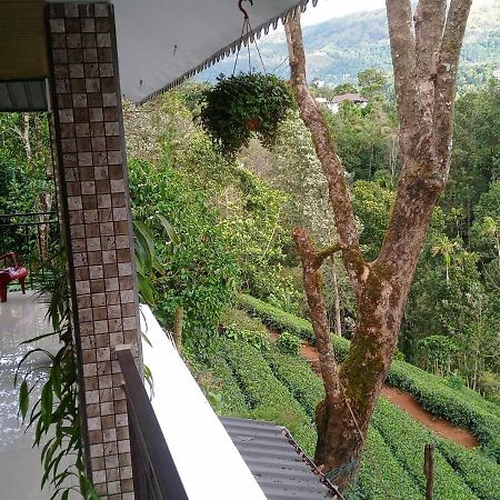 Green Tea View Munnar Exterior photo
