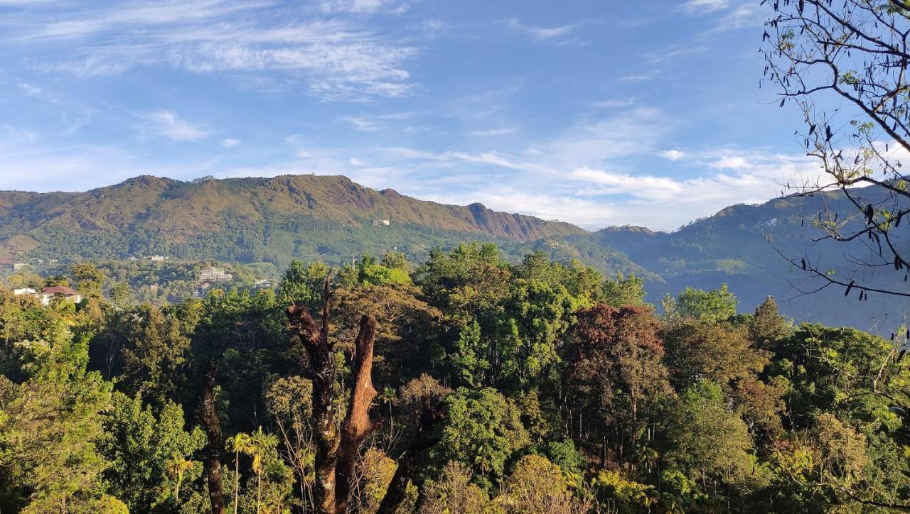 Green Tea View Munnar Exterior photo